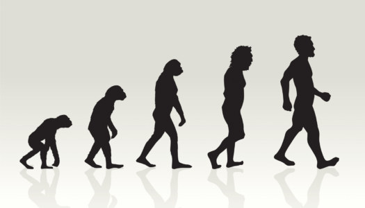 evolution-of-man-illustration-in-silhouette