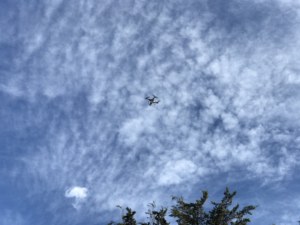 IMG_0578